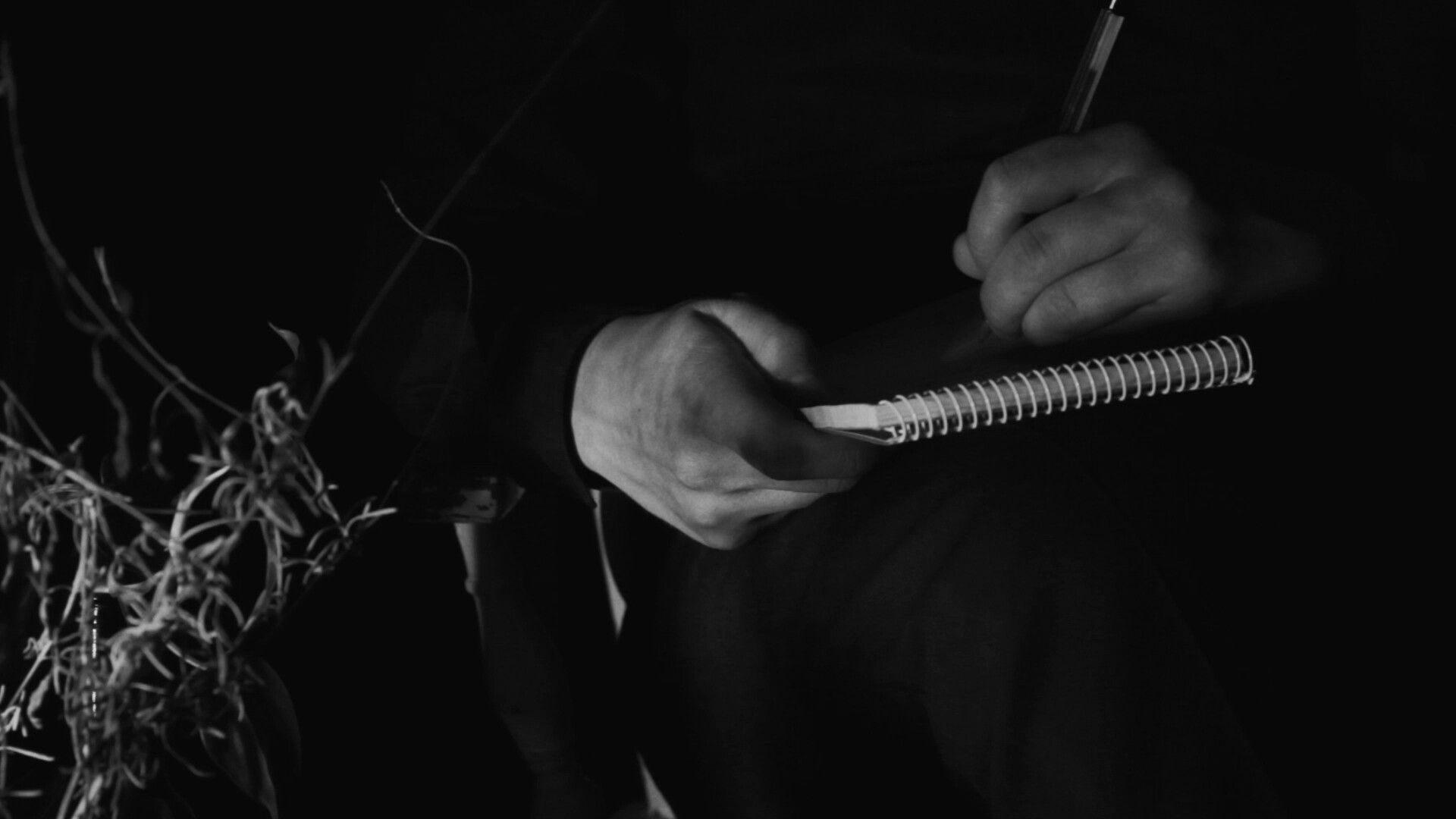 Film Screenshot